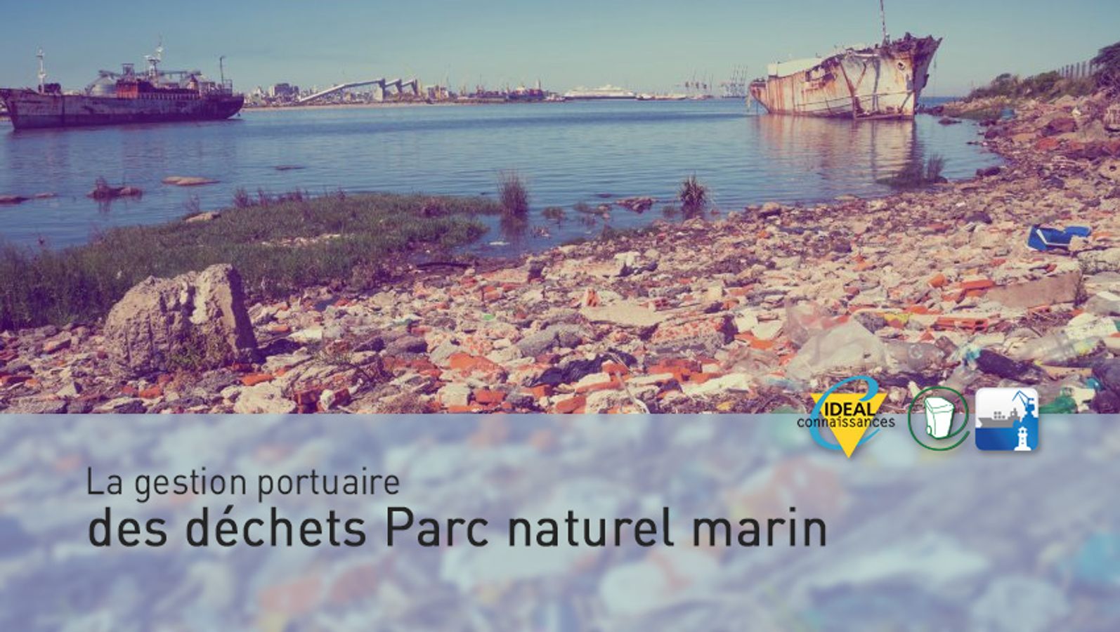 Gestion des déchets des activités maritimes sur le parc naturel marin estuaires picards et mer d’Opale : état des lieux et perspectives