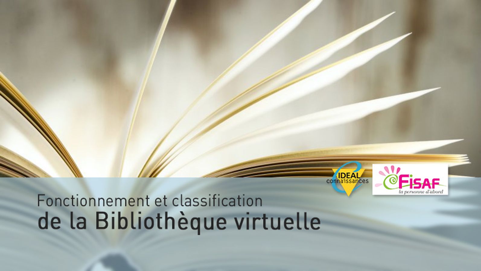 Fonctionnement et classification de la Bibliothèque virtuelle par Marc MAUDINET Président du Conseil Scientifique