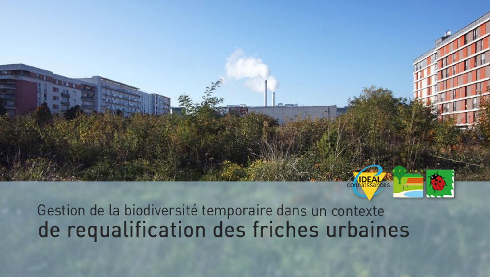 Gestion de la biodiversité temporaire dans un contexte de requalification des friches urbaines.