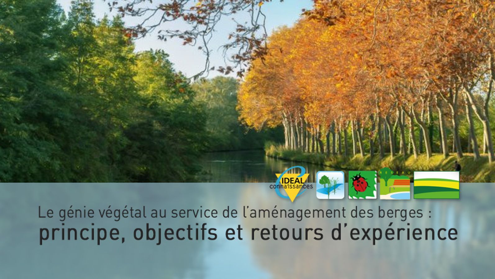 Le génie végétal au service de l’aménagement des berges : principe, objectifs et retours d’expérience