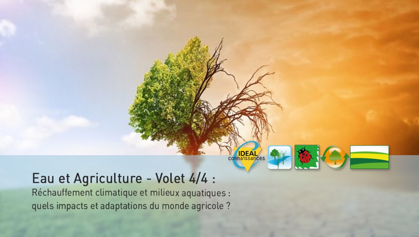Eau et Agriculture - Volet 4/4 : Réchauffement climatique et milieux aquatiques : quels impacts et adaptations du monde agricole ?