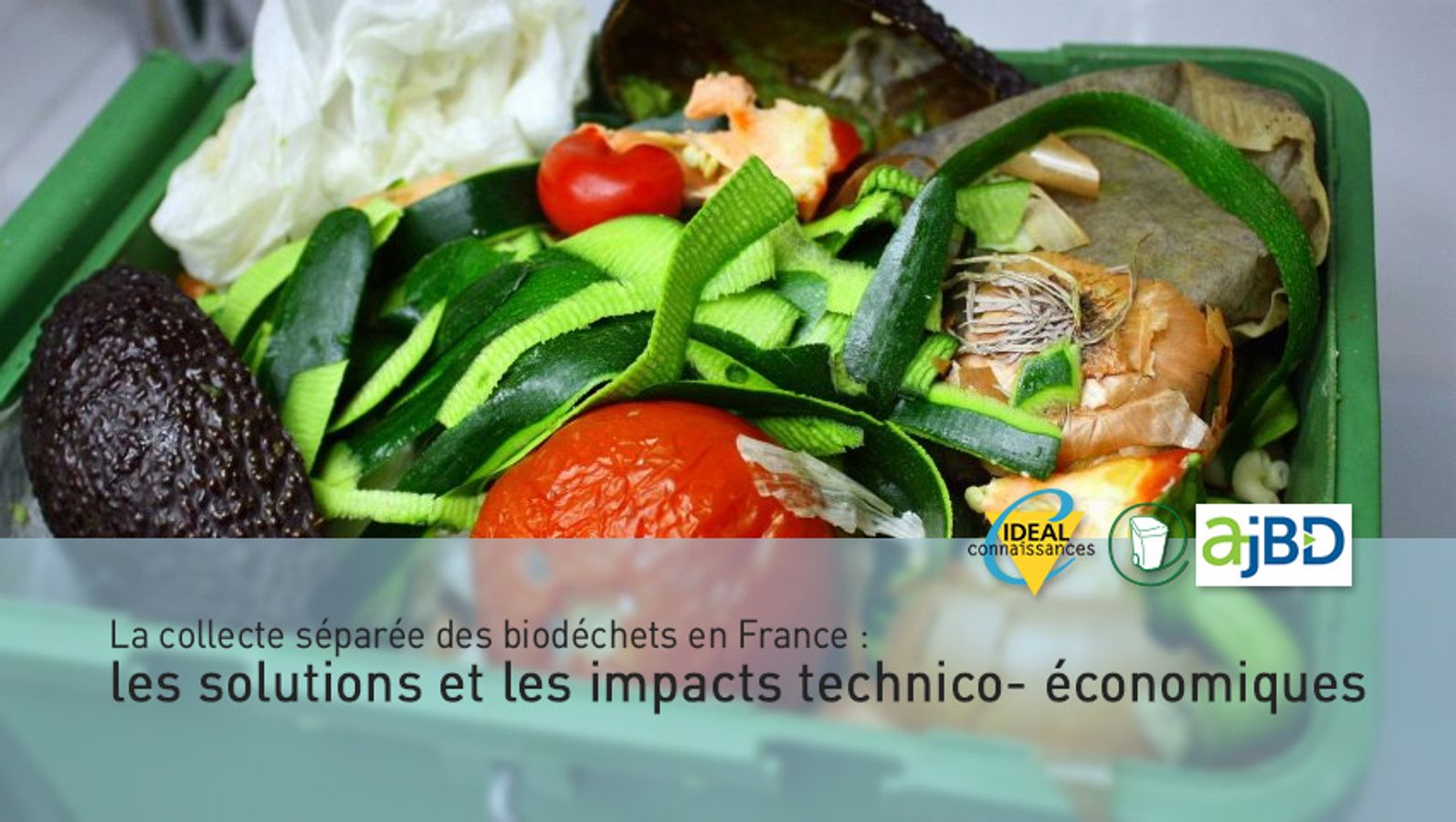 La collecte séparée des biodéchets en France: les solutions et les impacts technico- économiques
