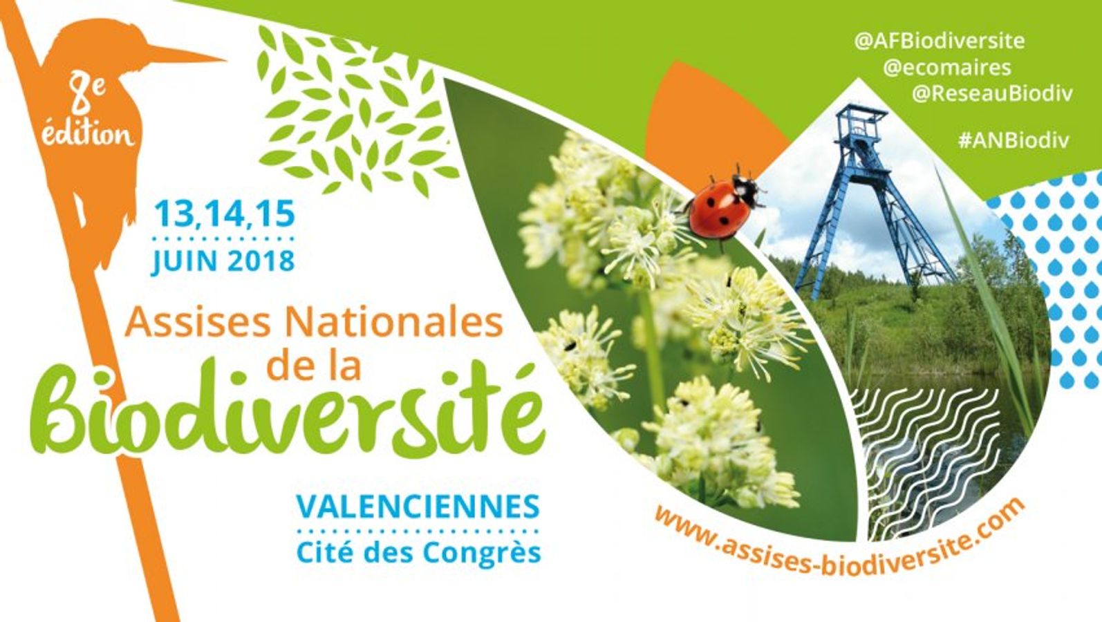 Parole aux professionnels de la Biodiversité