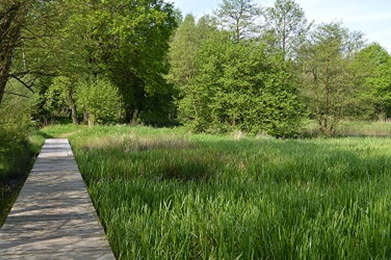 ANB 2018 Biodiversité et futur
