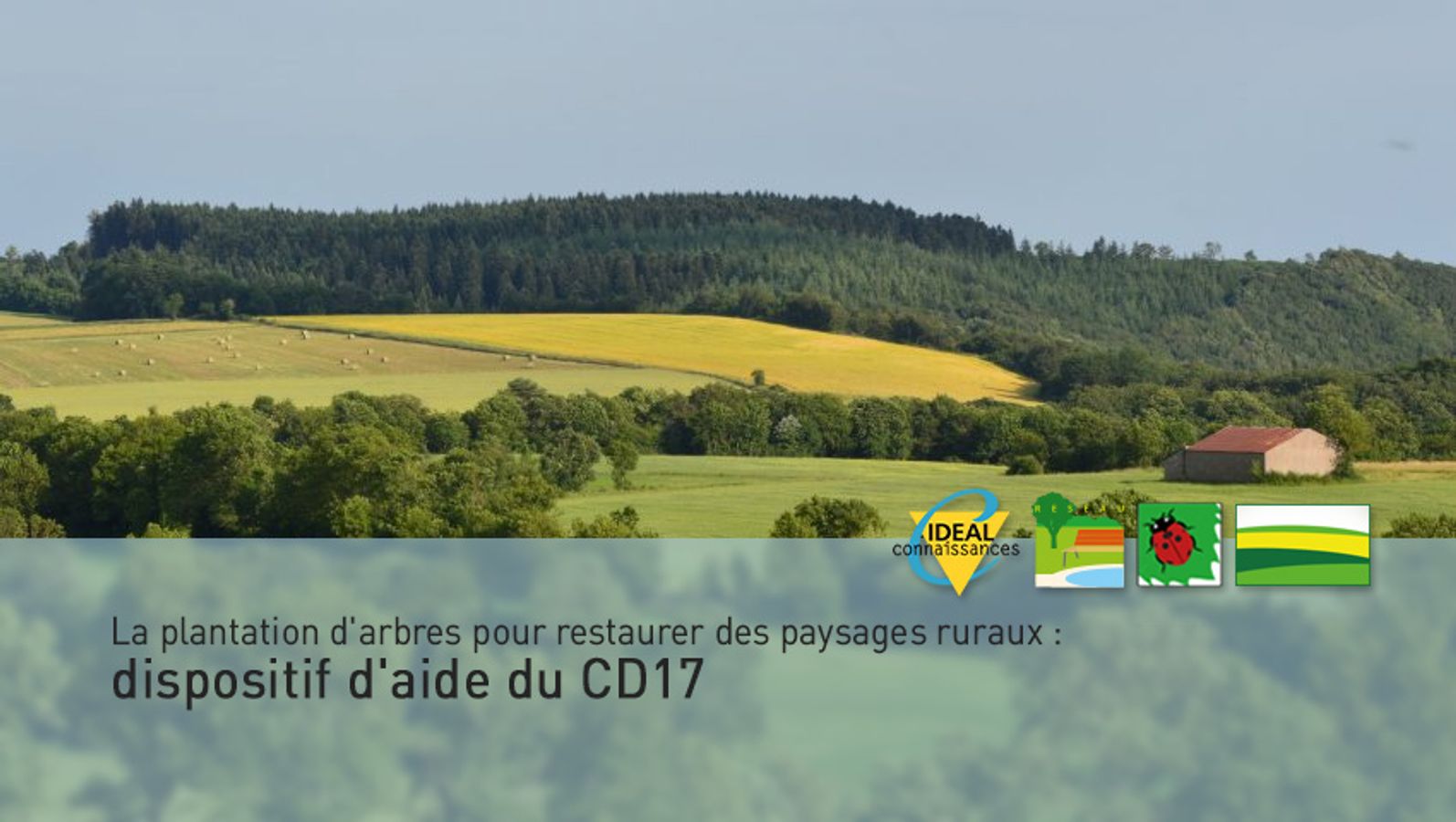 La plantation d'arbres et de haies pour restaurer des paysages ruraux : dispositif d'aide du CD17