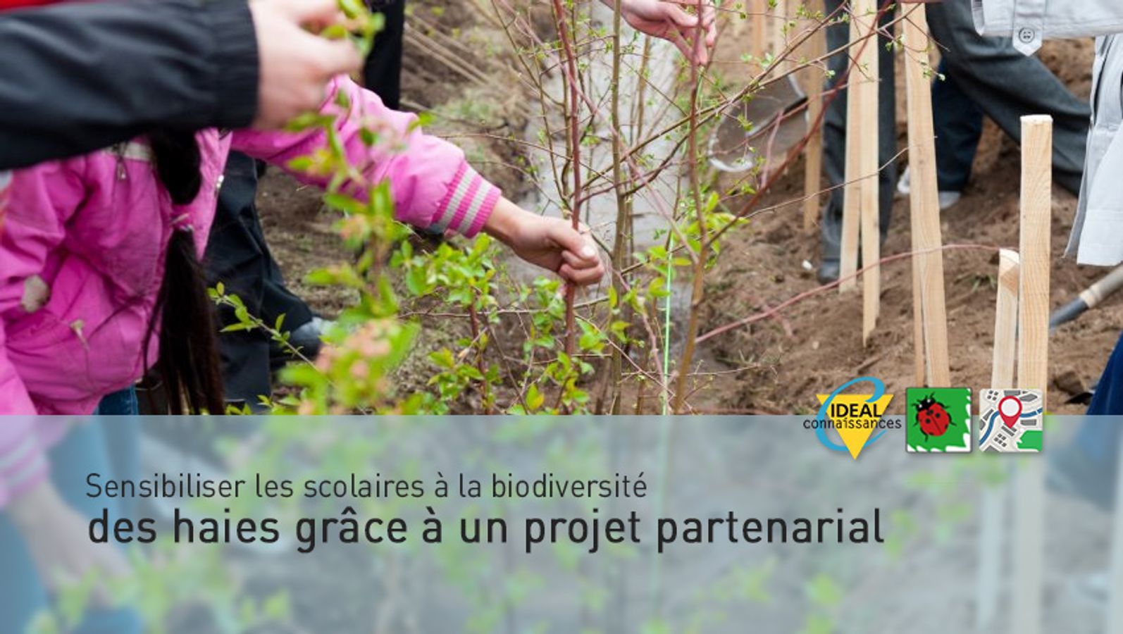 Sensibiliser les scolaires à la biodiversité des haies grâce à un projet partenarial