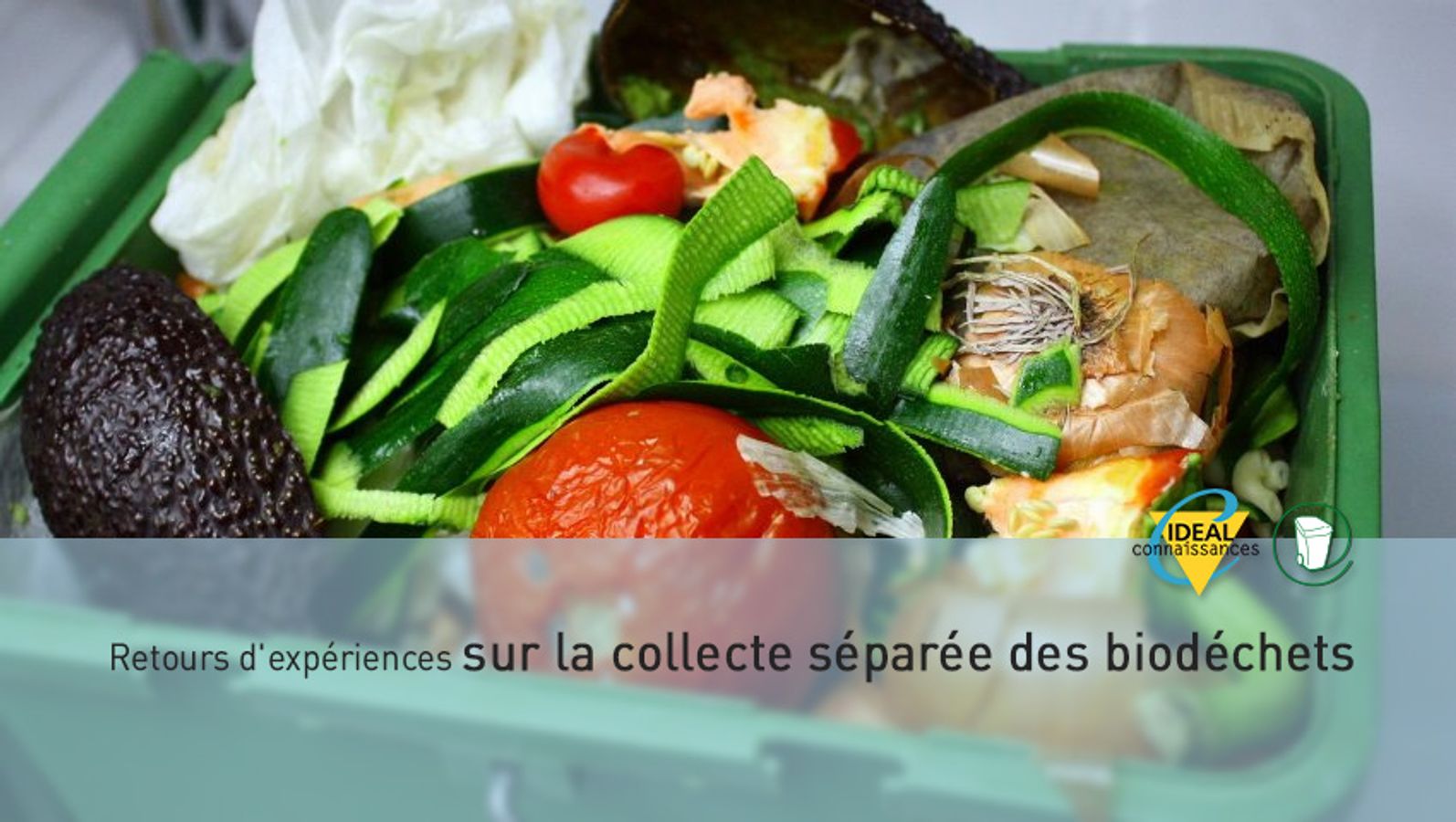 Retours d'expériences sur la collecte séparée des biodéchets