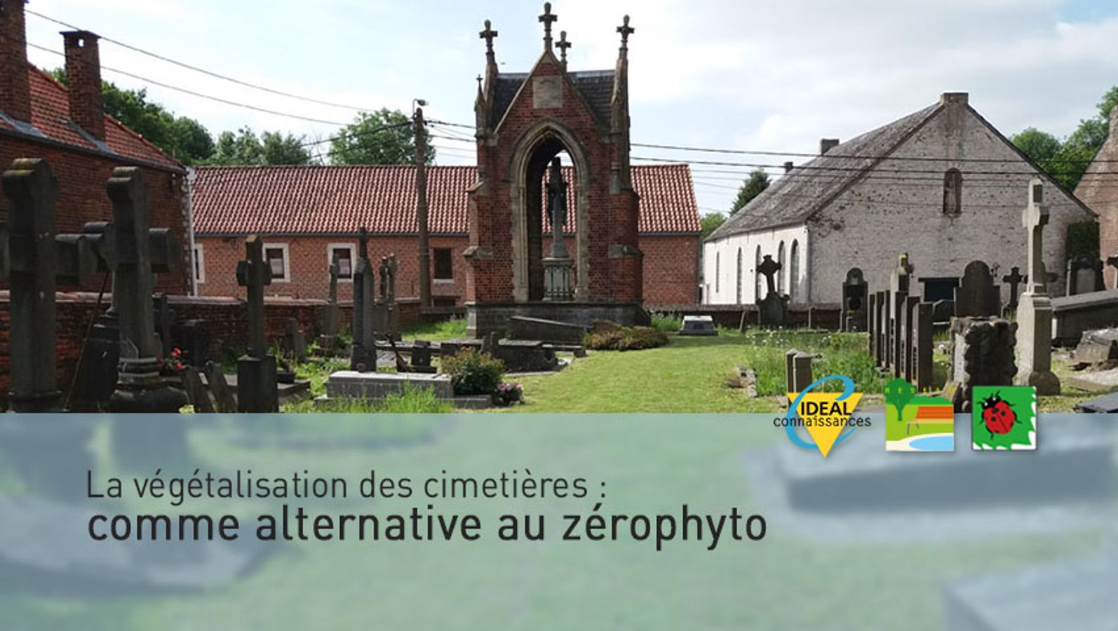 La végétalisation des cimetières comme alternative au zérophyto