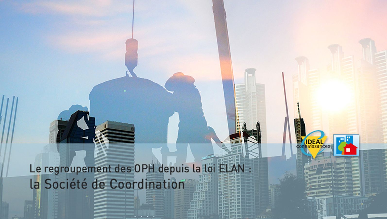 Le regroupement des OPH depuis la loi ELAN : la Société de Coordination