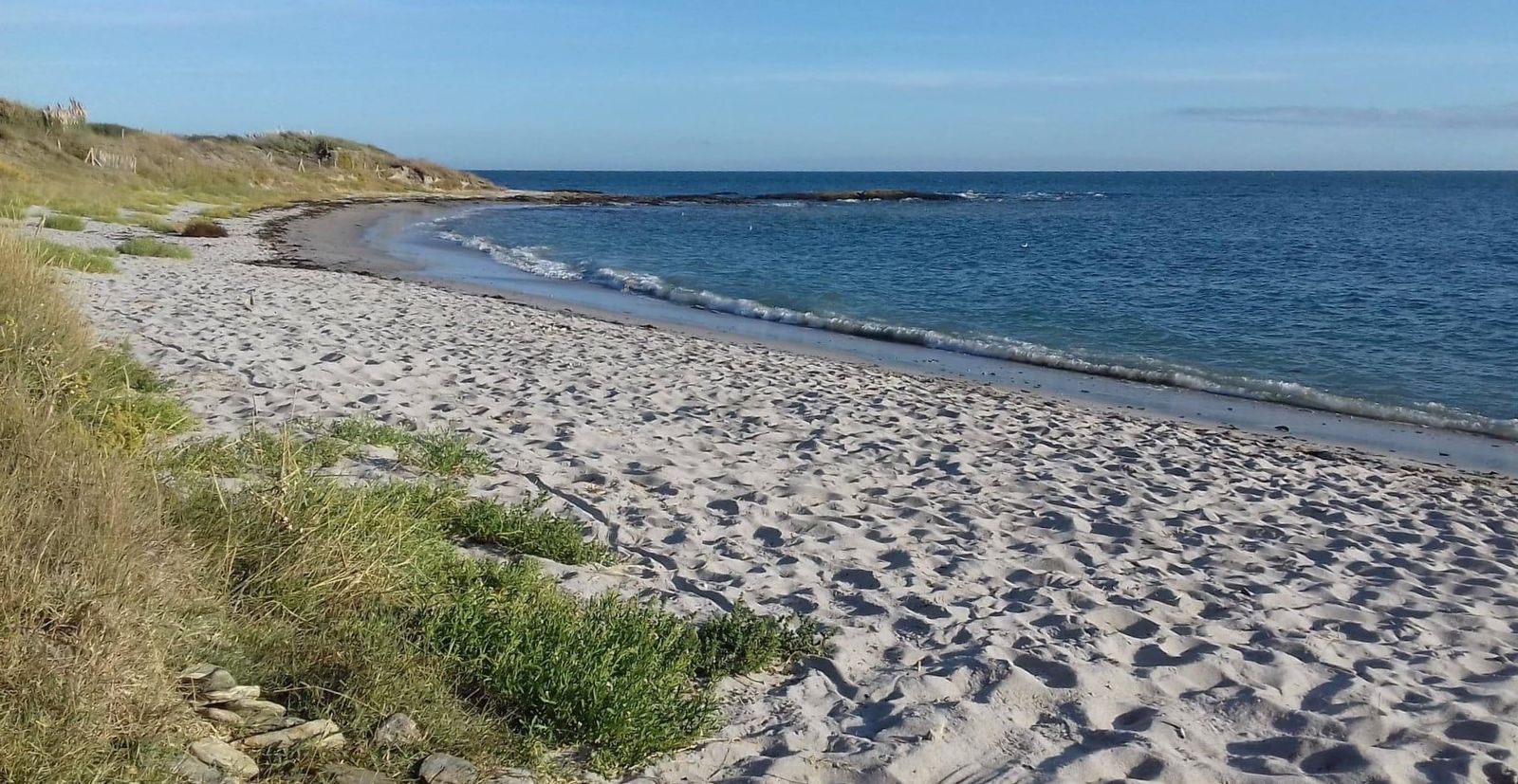 Comment mettre en place une gestion écologique de ses plages ?