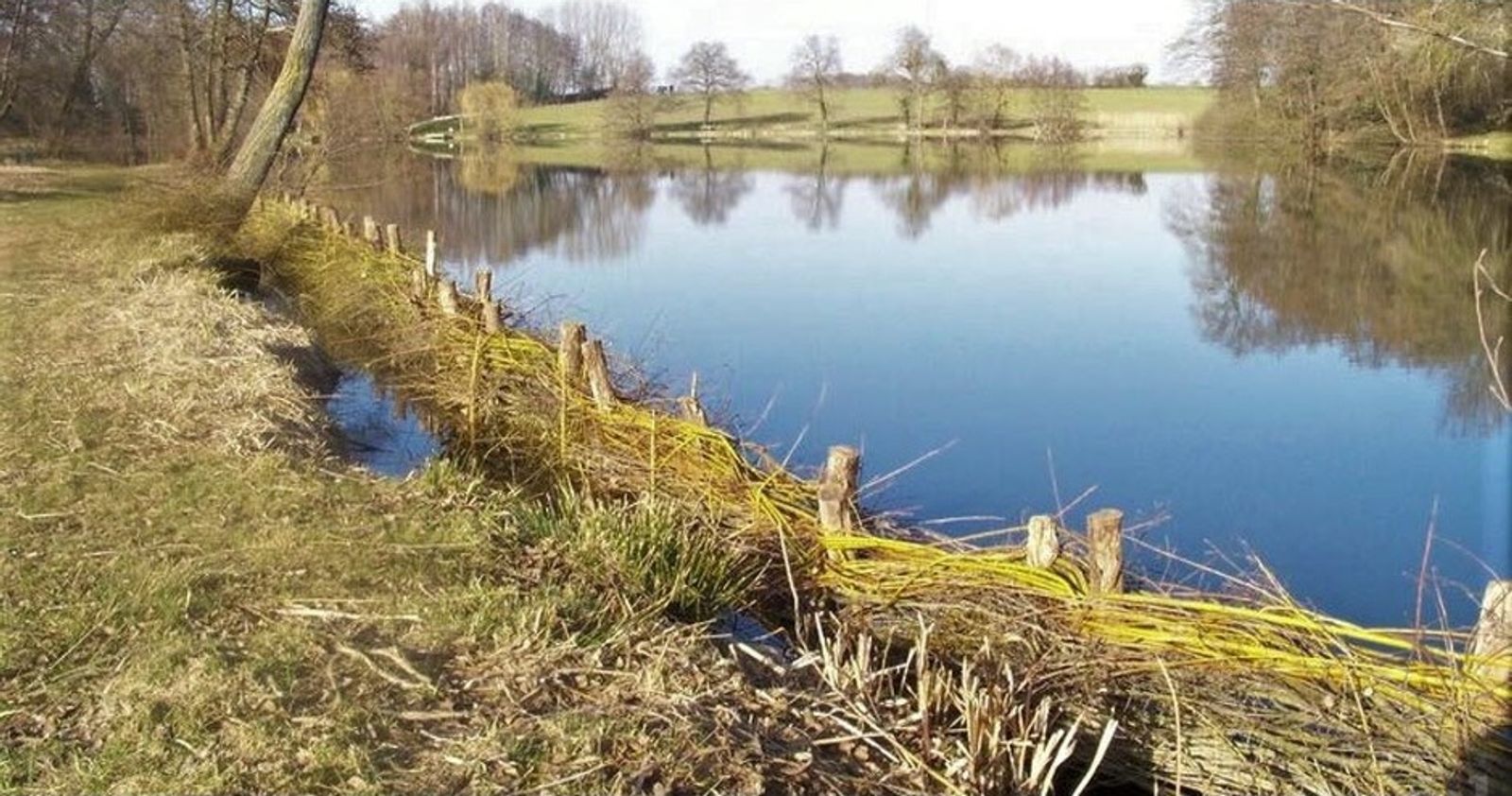 Retour d'expérience sur la restauration de l’étang de la verne à baudrières (71)