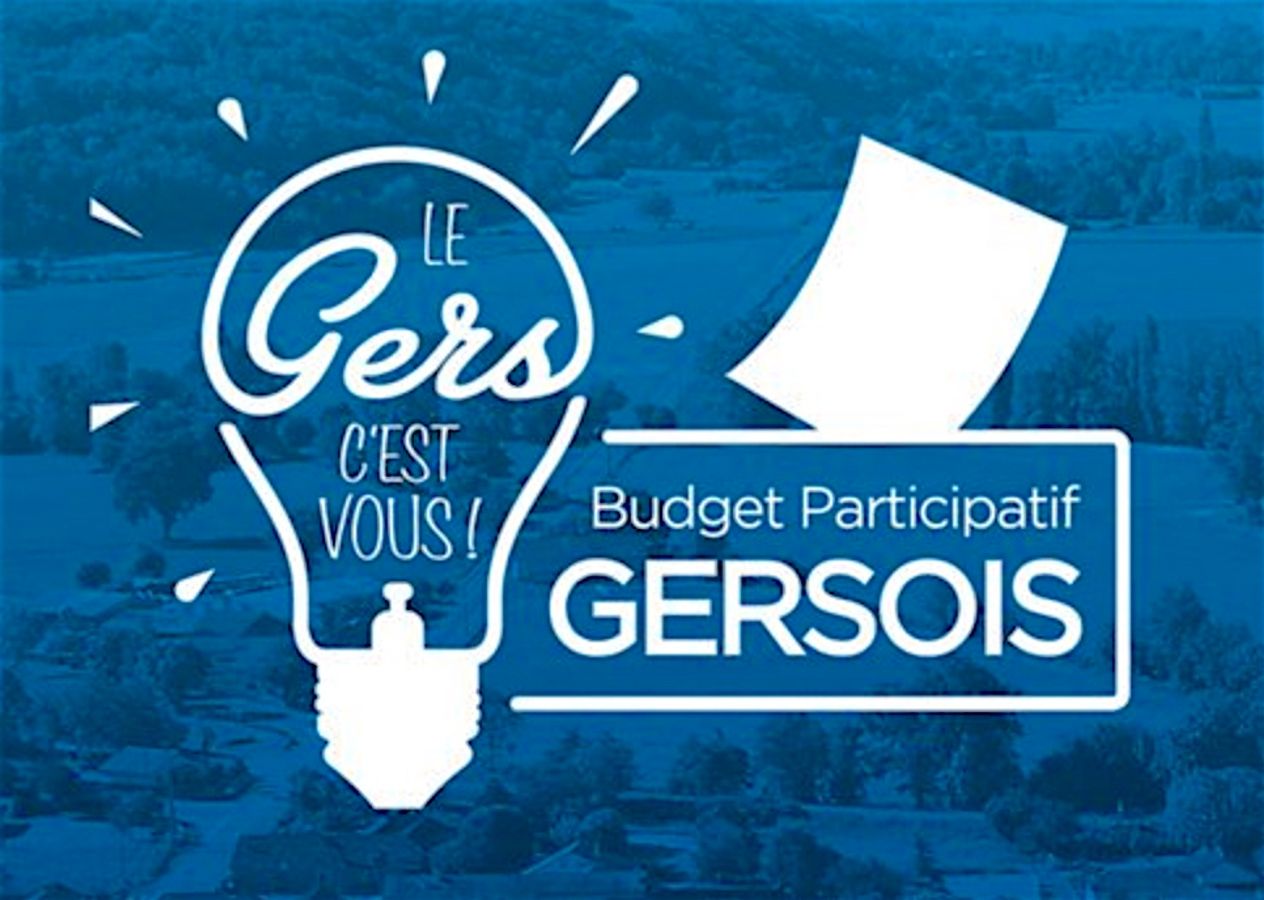 📢 Budget participatif, et pourquoi pas un département ?