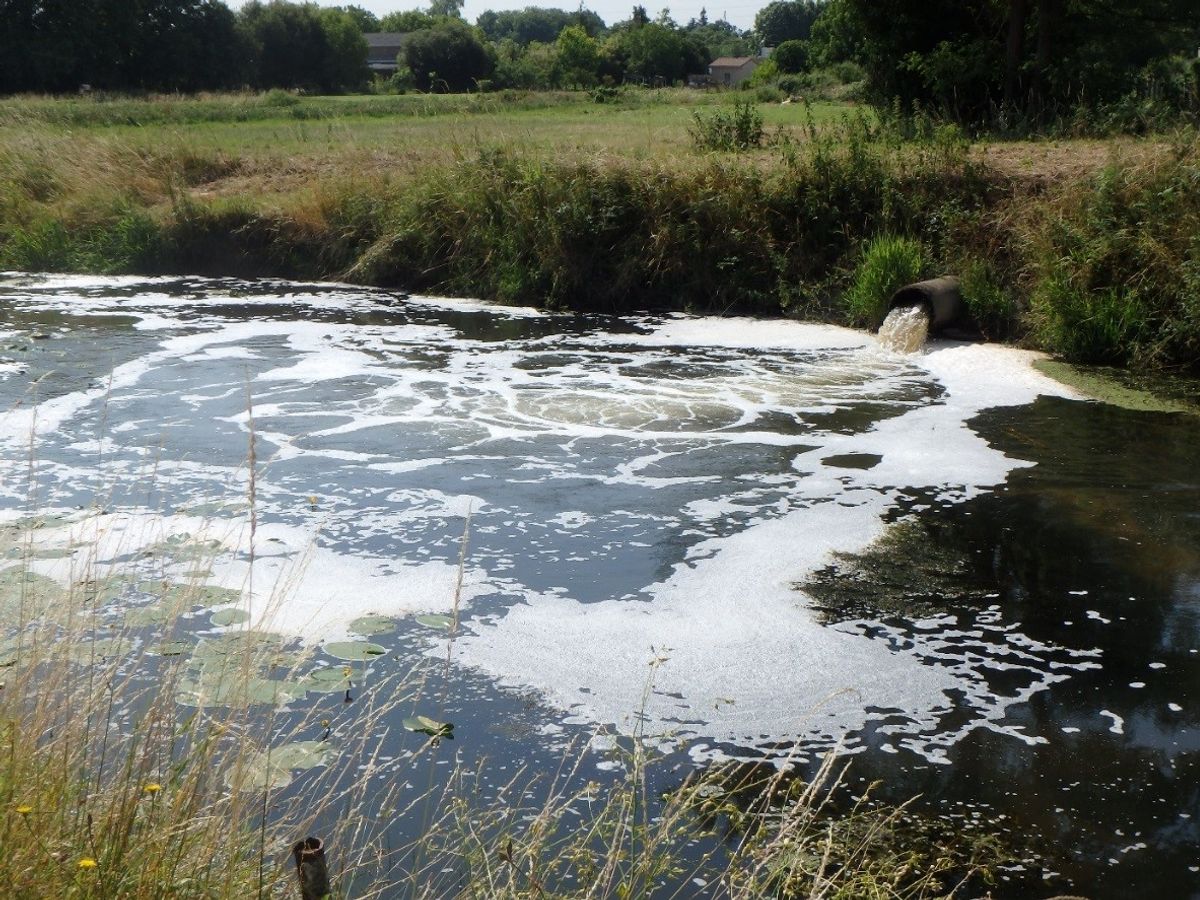 Un REGARD neuf sur la gestion des micropolluants à l’échelle d’un territoire urbain