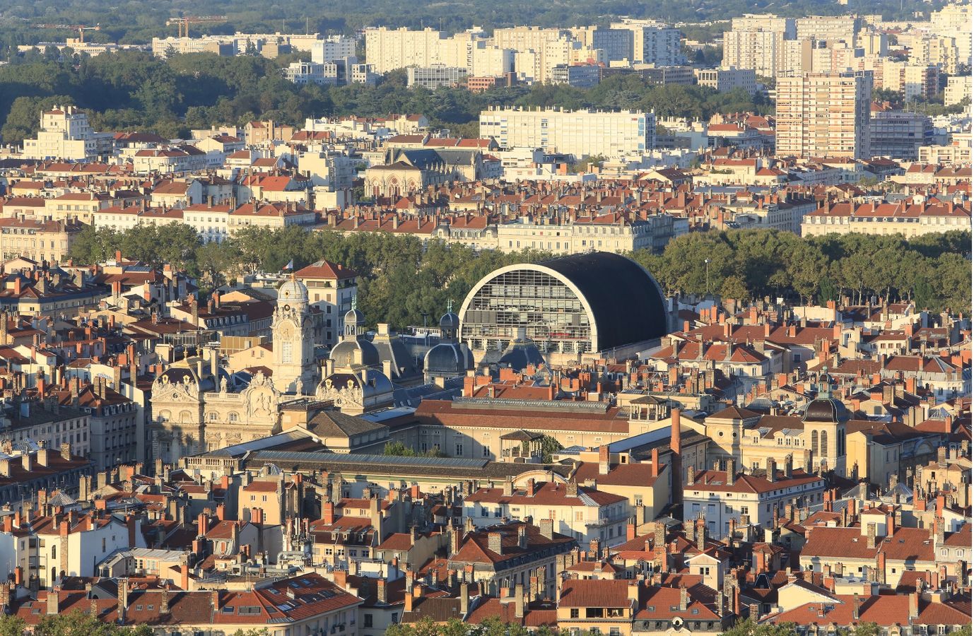 L'animation territoriale du PLALHPD : retour d'expérience de la métropole de Lyon