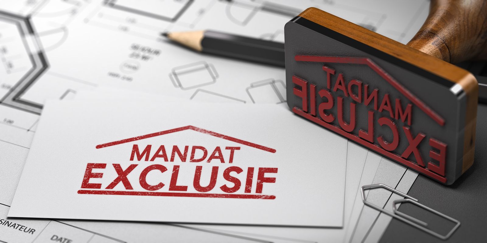 Le mandat de gestion comme outil de mobilisation du parc privé