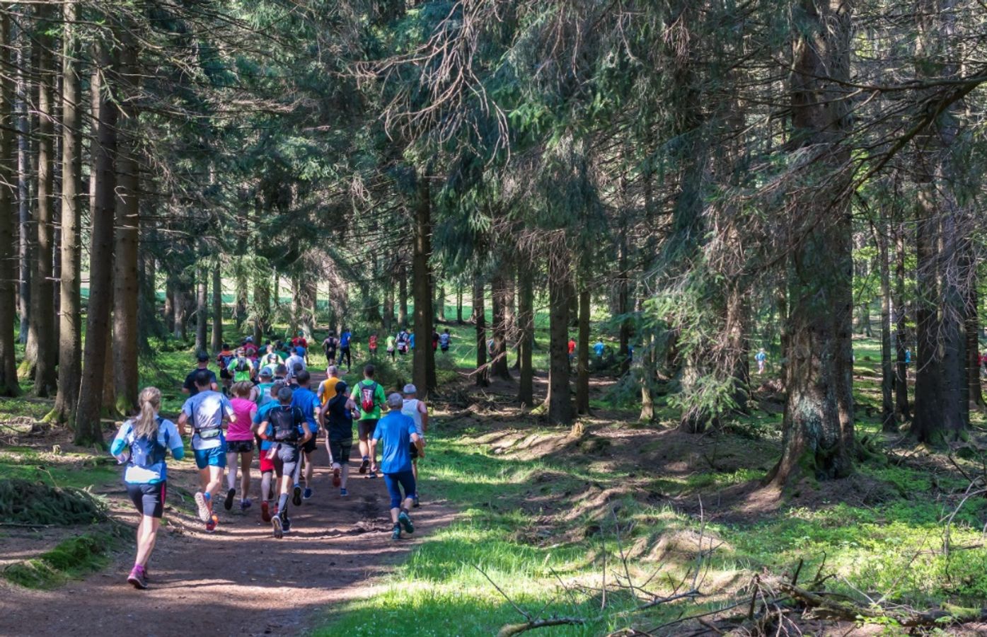 Le trail ou quand le jogging se marchandise : quels enjeux territoriaux pour les collectivités ?