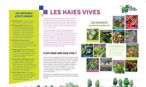 Retex : Implantation de végétaux d'essences locales, haies et prairies fleuries