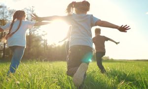 Conseil de famille des pupilles de l’Etat : qui fait quoi ?