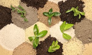 [Rencontre Technique] Le classement des sols dans les procédures d’aménagement foncier : rappels théoriques et retours d’expérience (classique, forestier, viticole, arboricole)