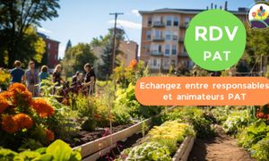 [RDV PAT] Echangez entre responsables et animateurs PAT